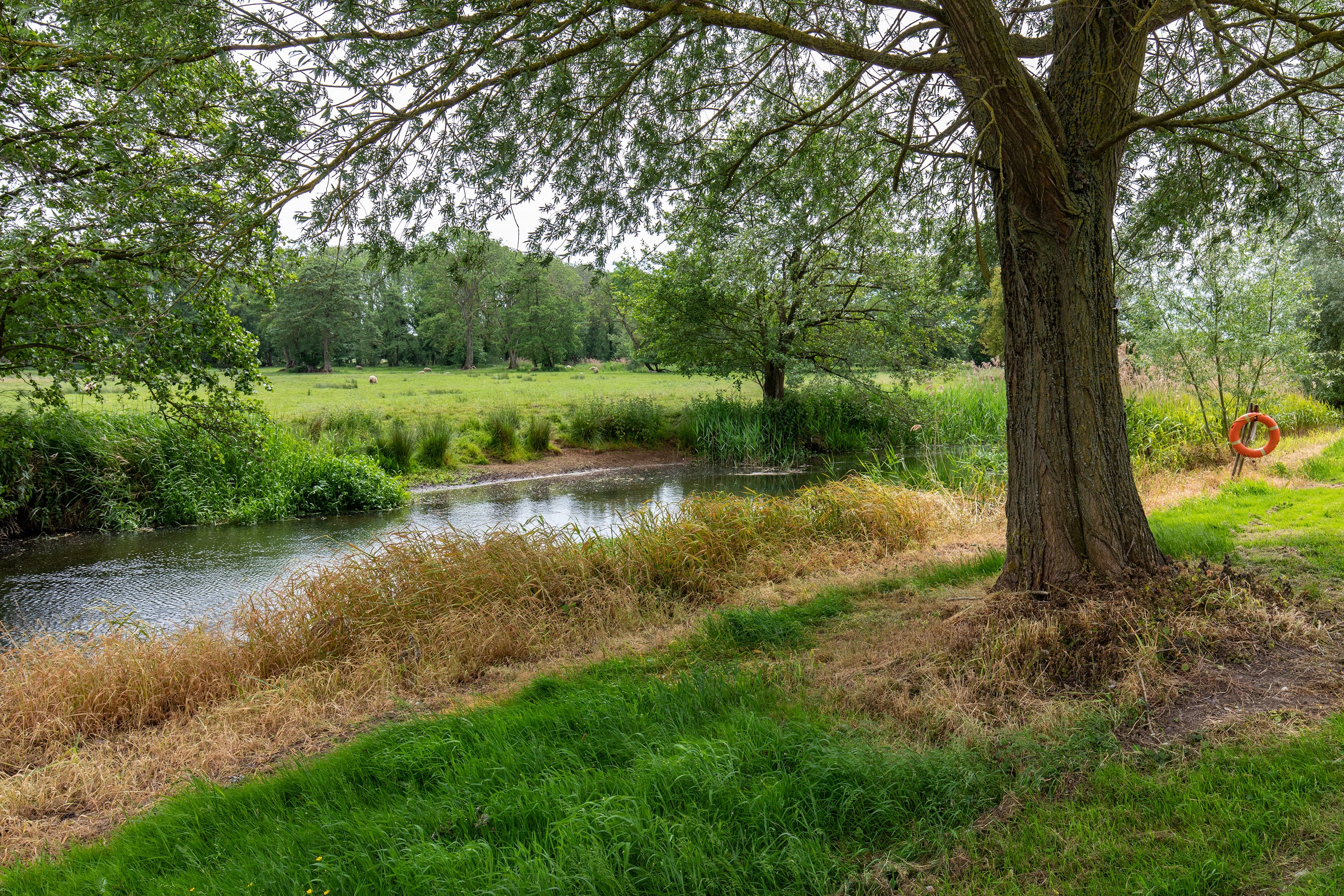 River walks along the River Thet