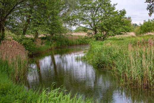 Our commitment to a sustainable future - The English Distillery