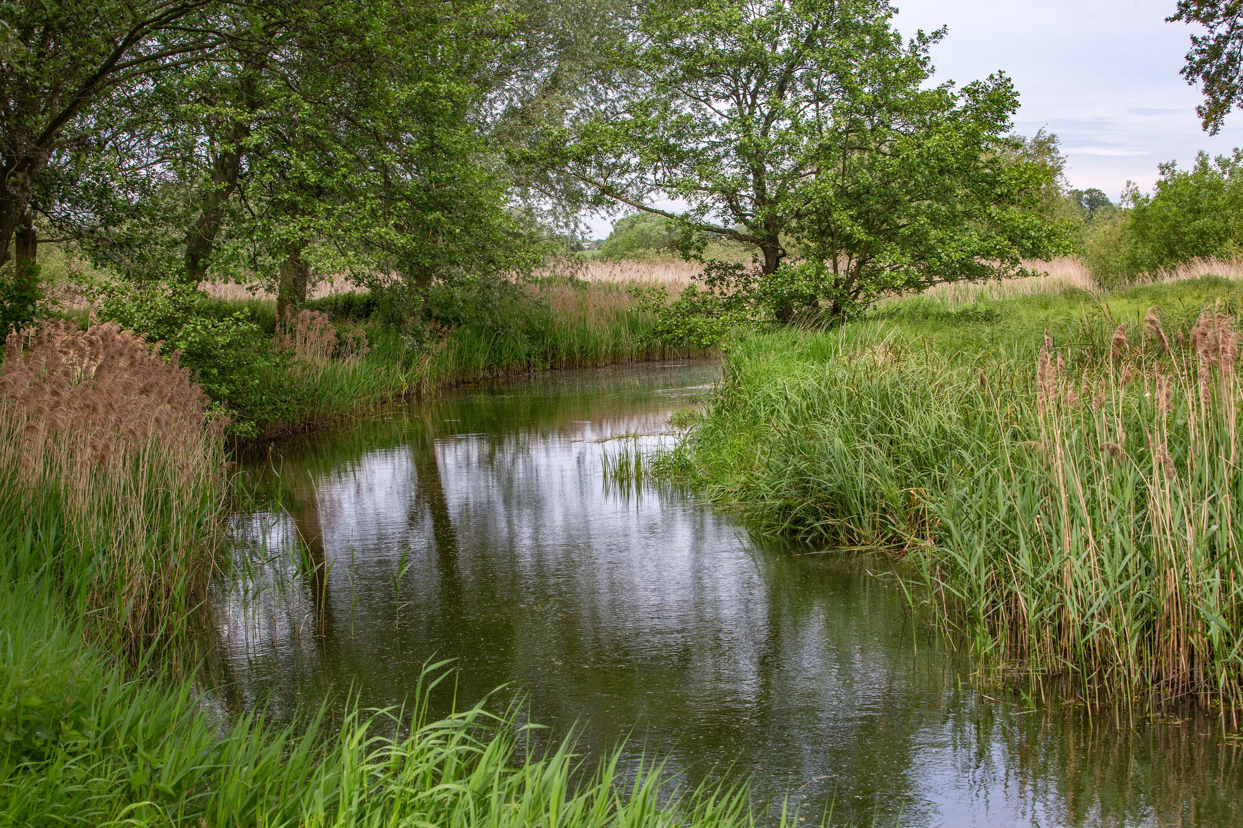 The river Thet bordering the distillery