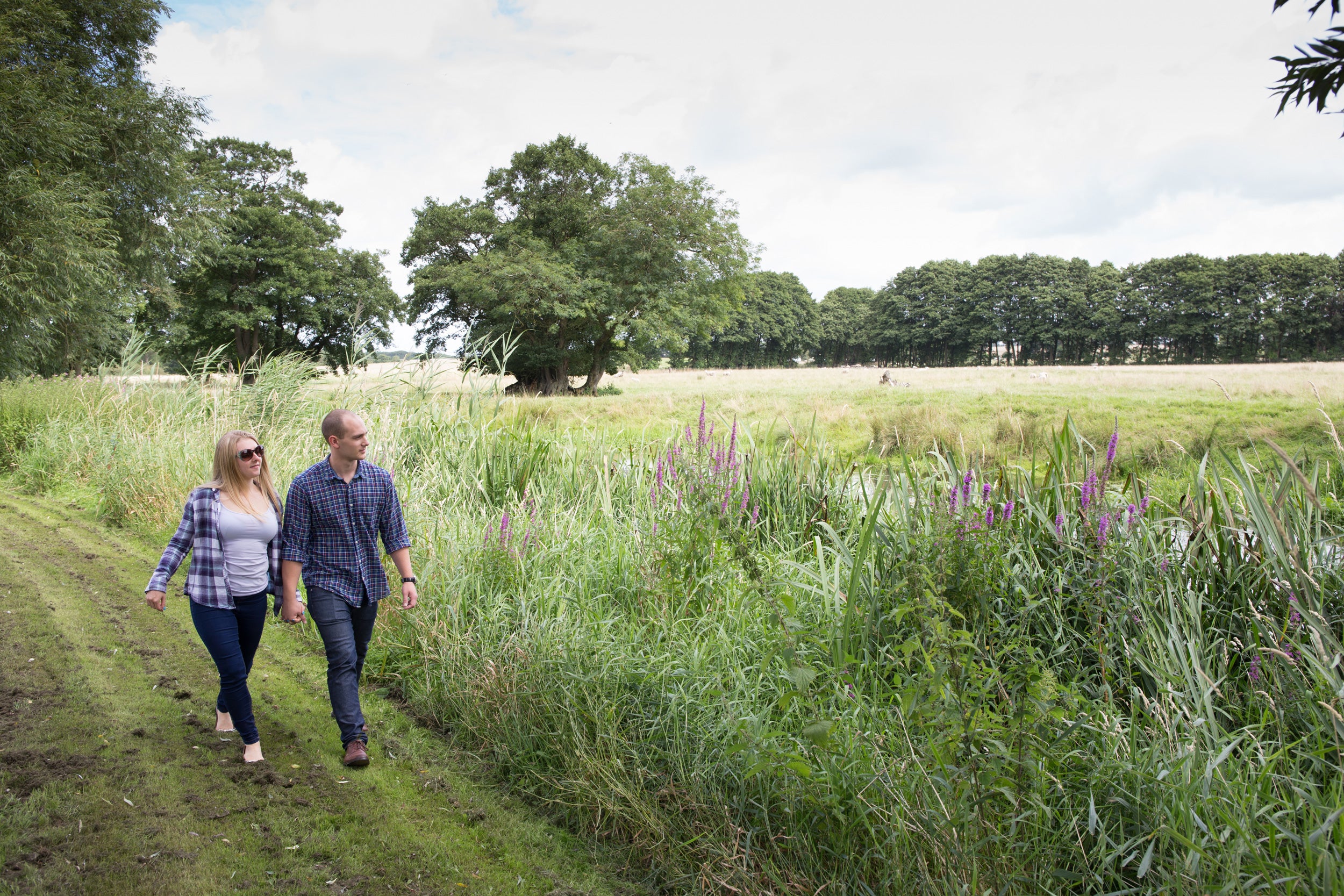 River walks at the distillery overlooking the beautiful Breckland countryside